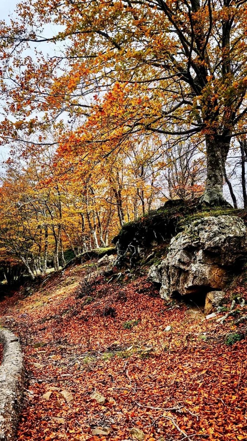 Nebris - Rifugio Del Parco Hotel San Fratello Ngoại thất bức ảnh