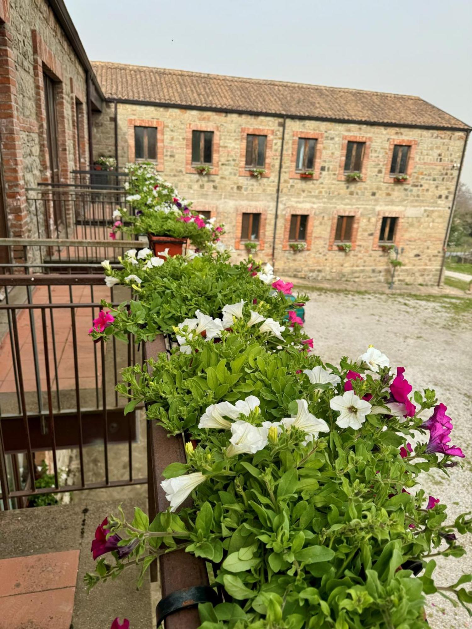 Nebris - Rifugio Del Parco Hotel San Fratello Ngoại thất bức ảnh